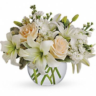<div class="m-pdp-tabs-description">
<div id="mark-1" class="m-pdp-tabs-marketing-description">Like a vacation for the senses, this lovely bouquet delivers an oasis of beauty and elegance. Soothing, serene and very special.</div>
</div>
<p id="arrngDescp">Crème roses, white asiatic lilies and stock stem are incredibly arranged in a bubble vase. When it comes to bouquets, this is definitely the right way to do white.</p>