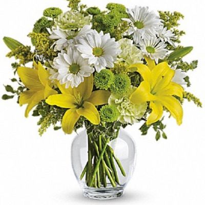 <div class="m-pdp-tabs-description">
<div id="mark-1" class="m-pdp-tabs-marketing-description">Let the sunshine in with this bevy of bright blooms - yellow lilies, green carnations and other sunny favorites beautifully arranged in a classic ginger jar. Perfect for birthday, get well, thank you - or just to say "Hi!" They'll love it.</div>
</div>
<p id="arrngDescp">This impressive bouquet includes yellow asiatic lilies, green carnations, white daisy spray chrysanthemums and green button spray chrysanthemums accented with assorted greenery.</p>