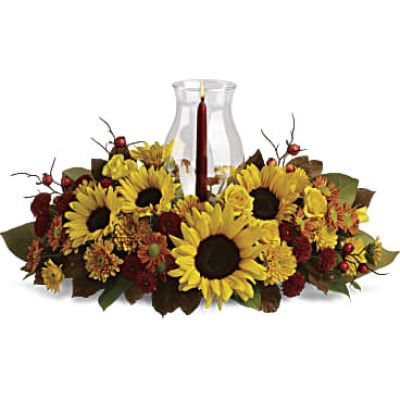 Sunflowers are the stars of this fabulous fall flower centerpiece! All the classic autumnal colors are here, plus a glowing glass hurricane, making it a heartwarming decoration for your Thanksgiving table, kitchen counter or powder room.
Stunning sunflowers add bright energy to this beautiful arrangement of bronze daisies, bronze cushion mums and rust button mums.
Accented with red ilex berries, brown copper beech leaves, magnolia leaves and salal.