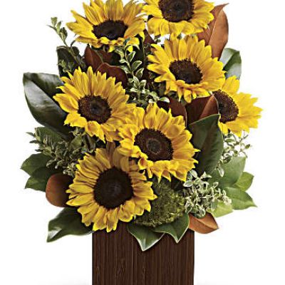 Show her she’s golden with this sunny bouquet, and you can bet you’re golden, too. Stunning sunflowers are mixed with glossy magnolia leaves for a dramatic, day-brightening delivery!
Bold, bright sunflowers are arranged with delicate oregonia, magnolia leaves, lemon leaf and moss.